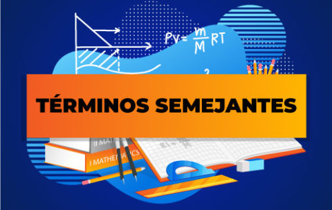 TÉRMINOS-SEMEJANTES